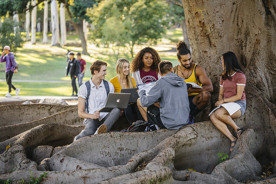 Undegraduate Students sitting under a tree